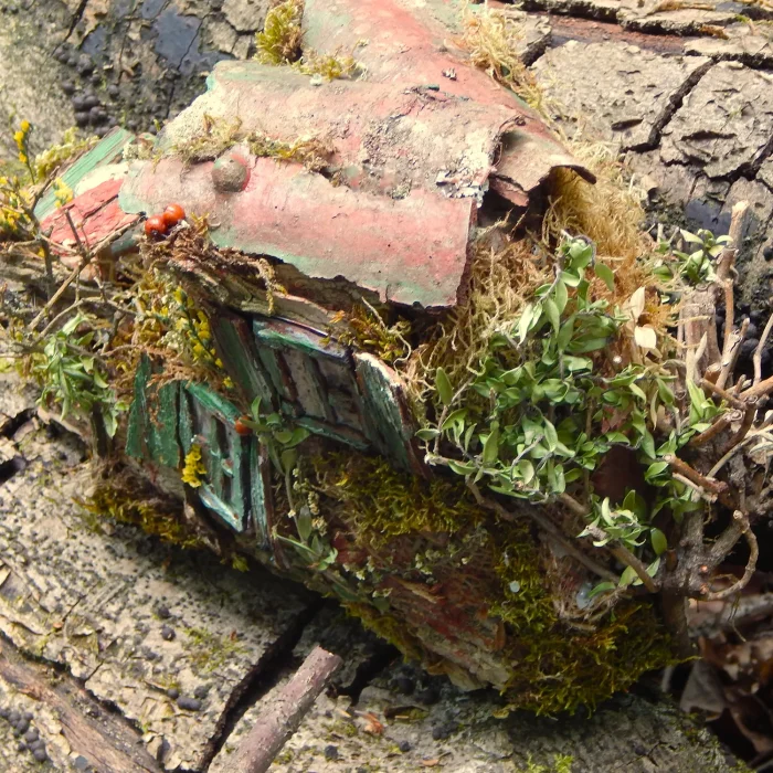 bemooster-schuh-gruene-akzente-02