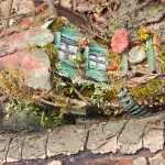 bemooster-schuh-gruene-akzente-03