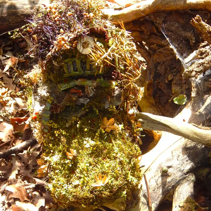 gaensebluemchen-moos-haus-02