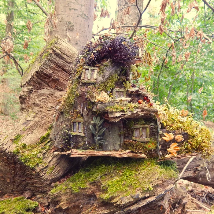 gaensebluemchen-moos-haus