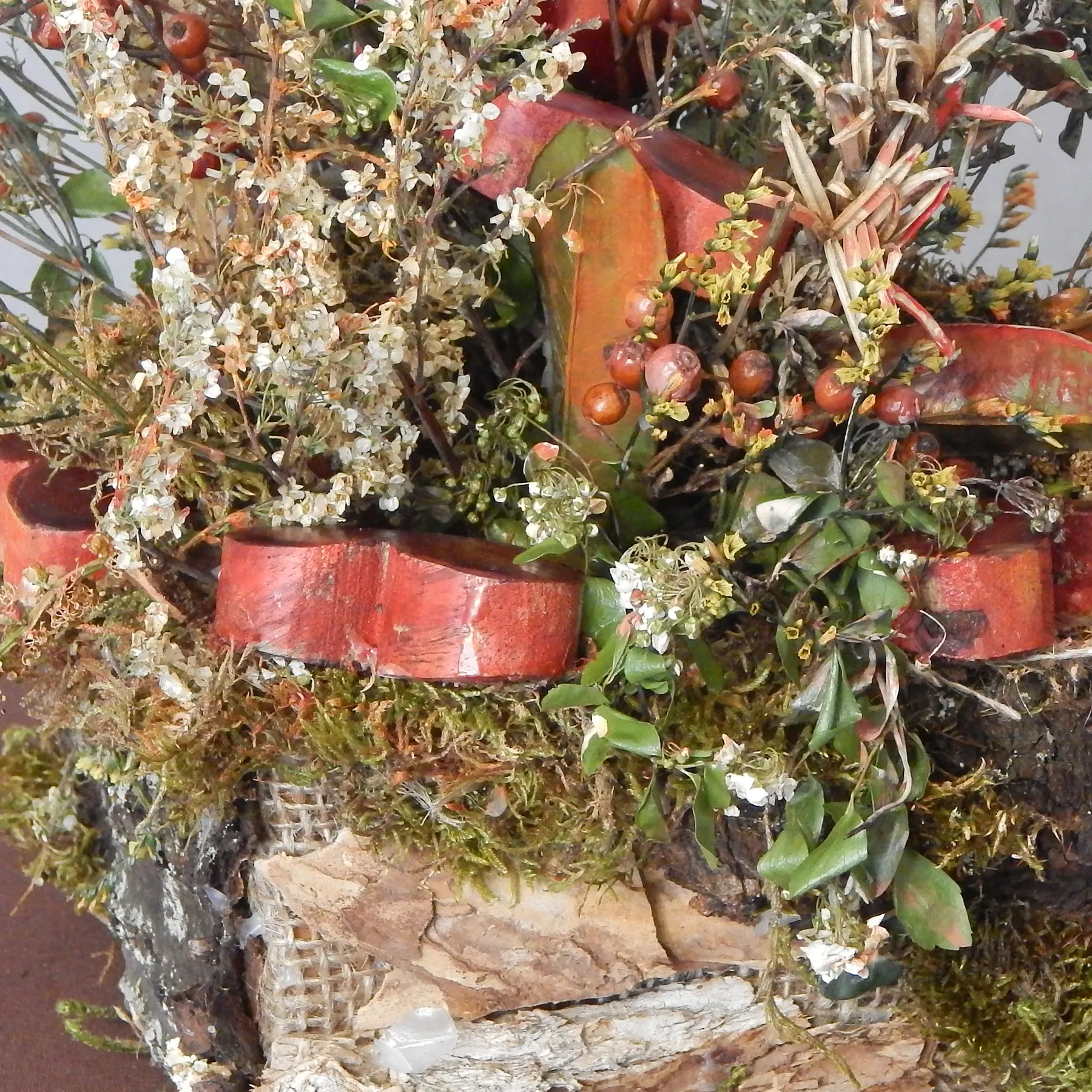 strauss-auf-rinde-01